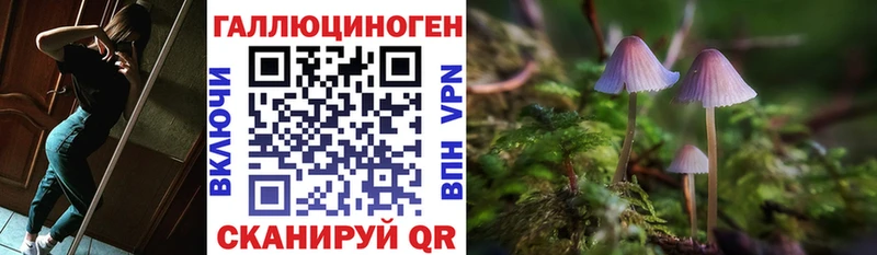 где можно купить наркотик  Вуктыл  Галлюциногенные грибы мицелий 